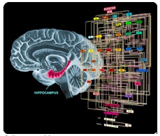 cerebro