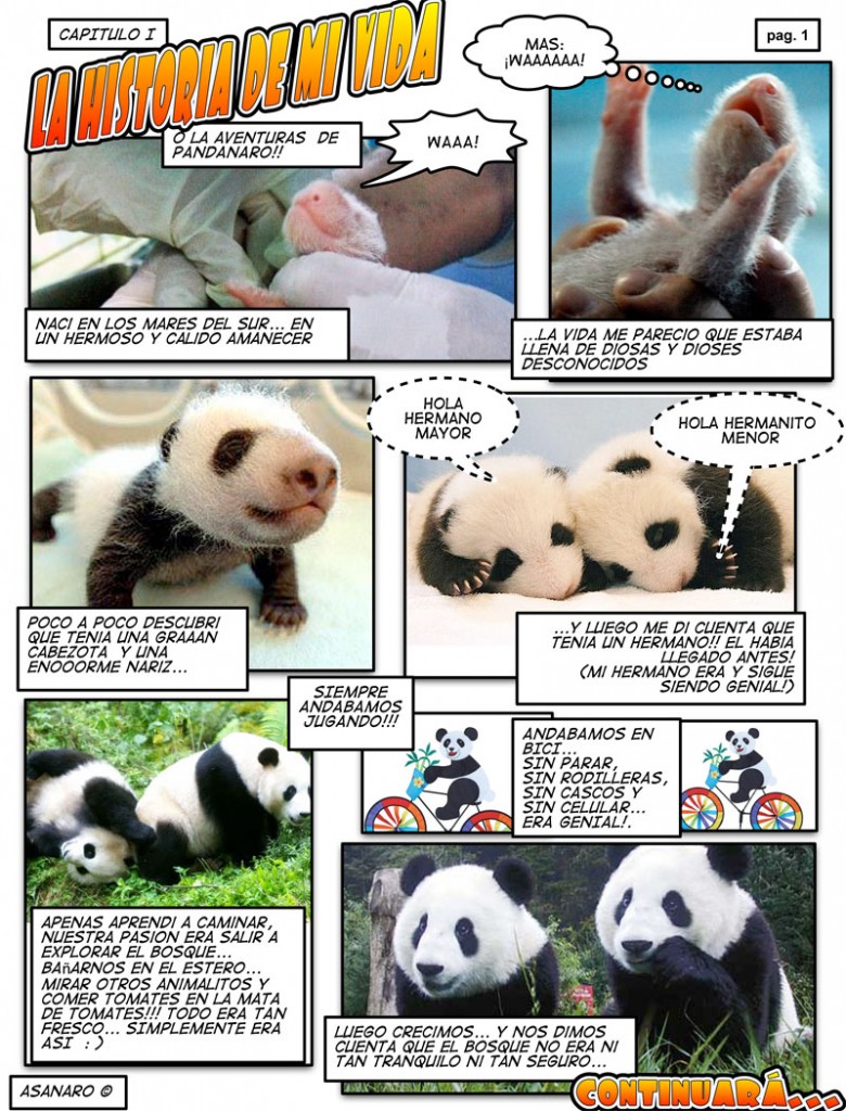 Pandanaro-cap-1